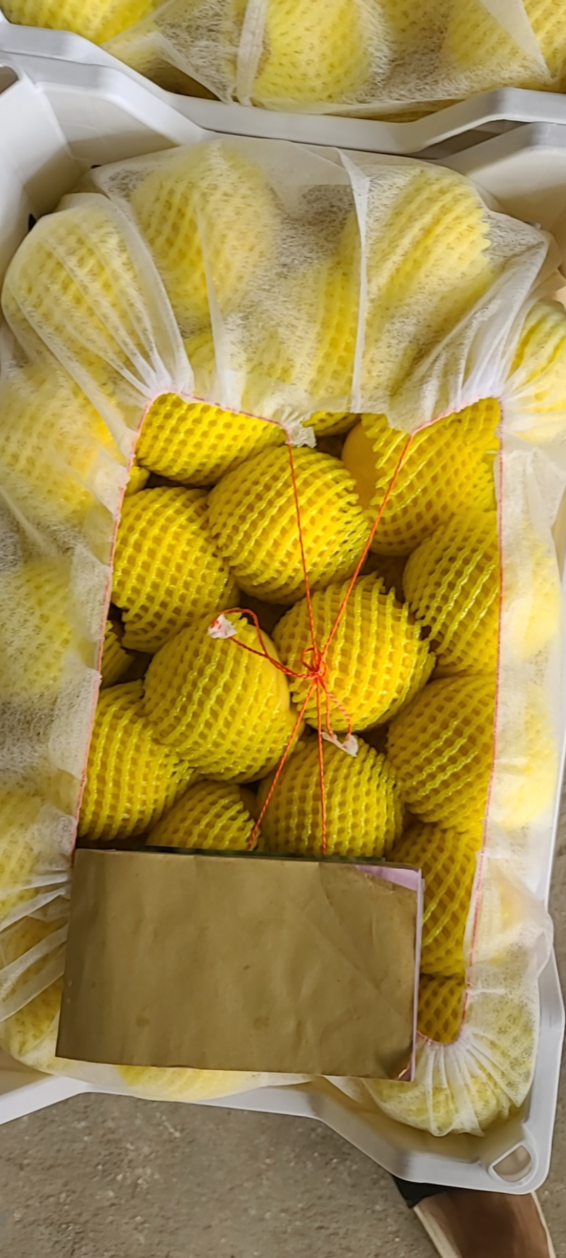 【🔥热销】精品网套一手货源自产自销量大从优