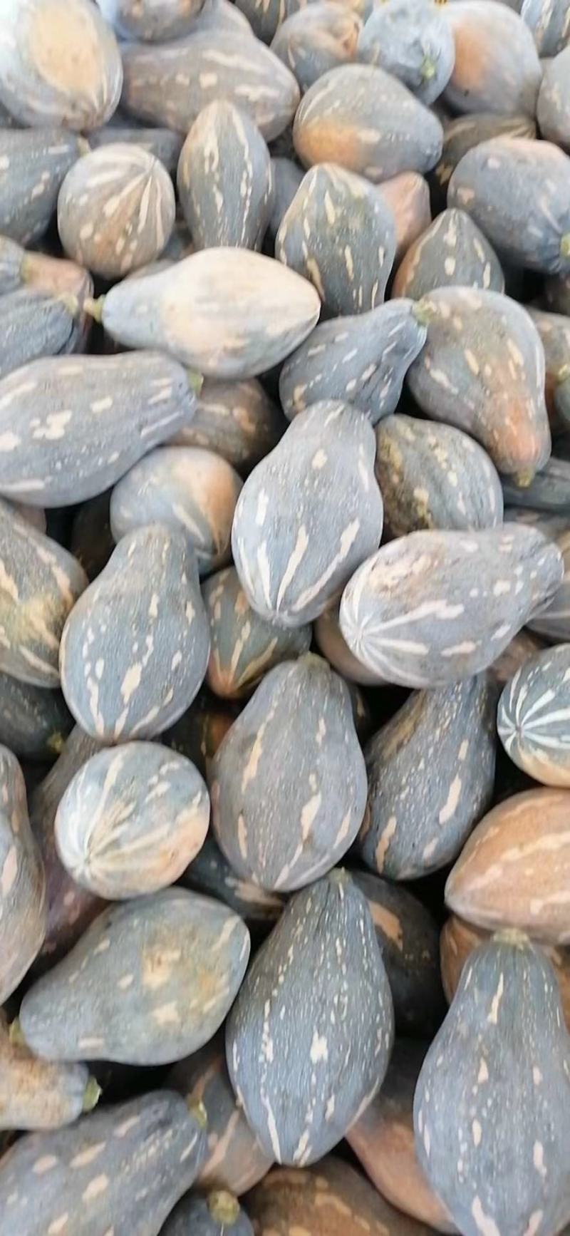 广西浓香型香竽南瓜—浓香型香芋南瓜又粉又甜