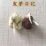 发财树种子招财树摇钱树种子盆栽盆景发财树室内净化空气易种