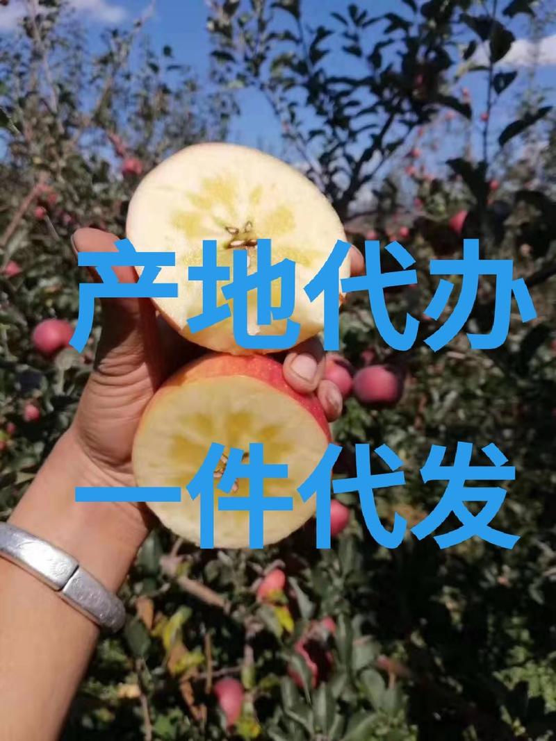 【冰糖心苹果】凉山苹果盐源苹果糖心苹果苹果专业代办