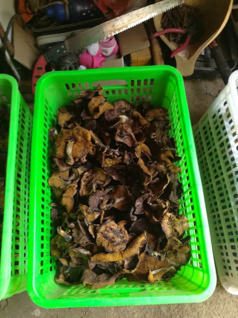 精品松蘑干品去跟货颜色好