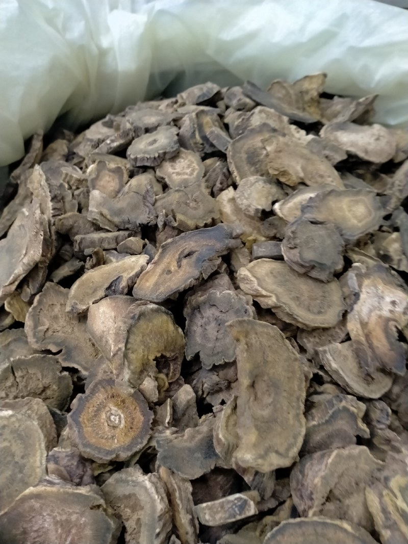 大黄各种规格一手货源大货批发含量高价格优！