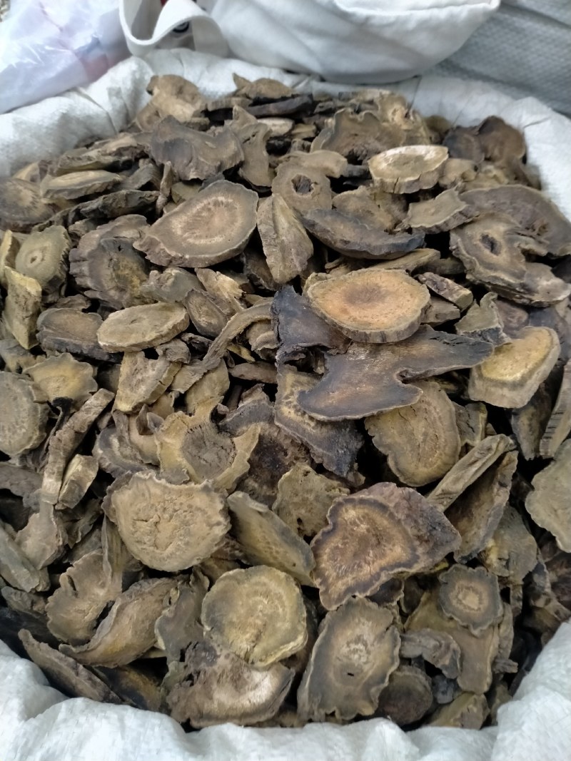大黄各种规格一手货源大货批发含量高价格优！