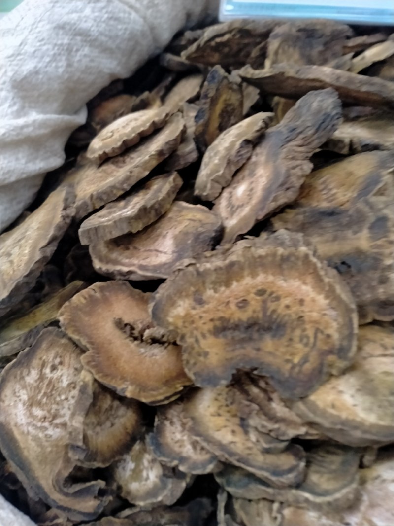 大黄各种规格一手货源大货批发含量高价格优！