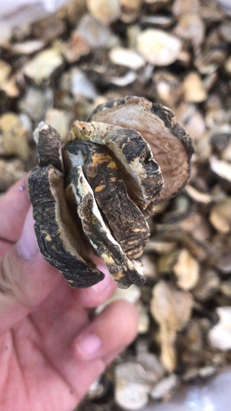 云南黑玛卡片干果新货黑玛咖片精选优质大片支持一件代发