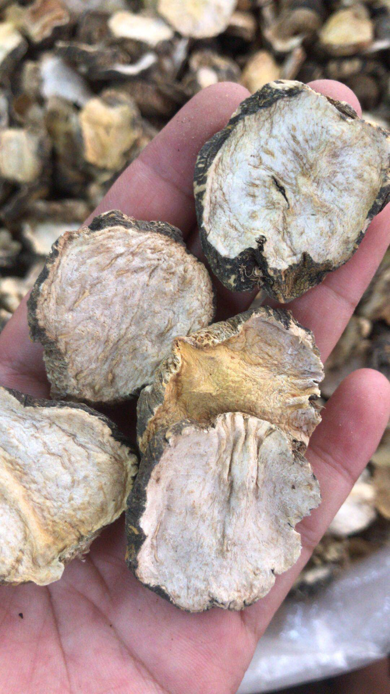 云南黑玛卡片干果新货黑玛咖片精选优质大片支持一件代发