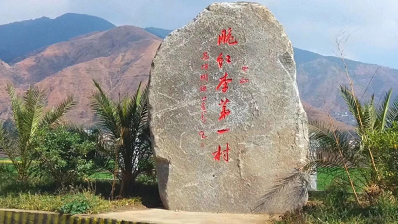 四川大凉山脱骨脆李脆红李一件代发