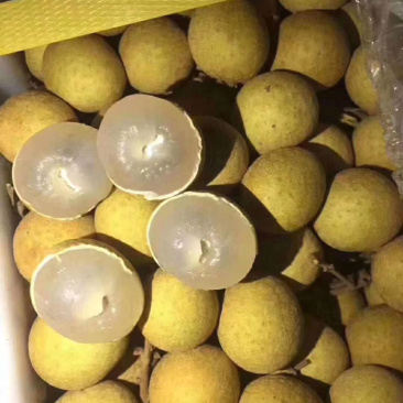 泰国新鲜龙眼，产地直供，欢迎订购，整柜发货