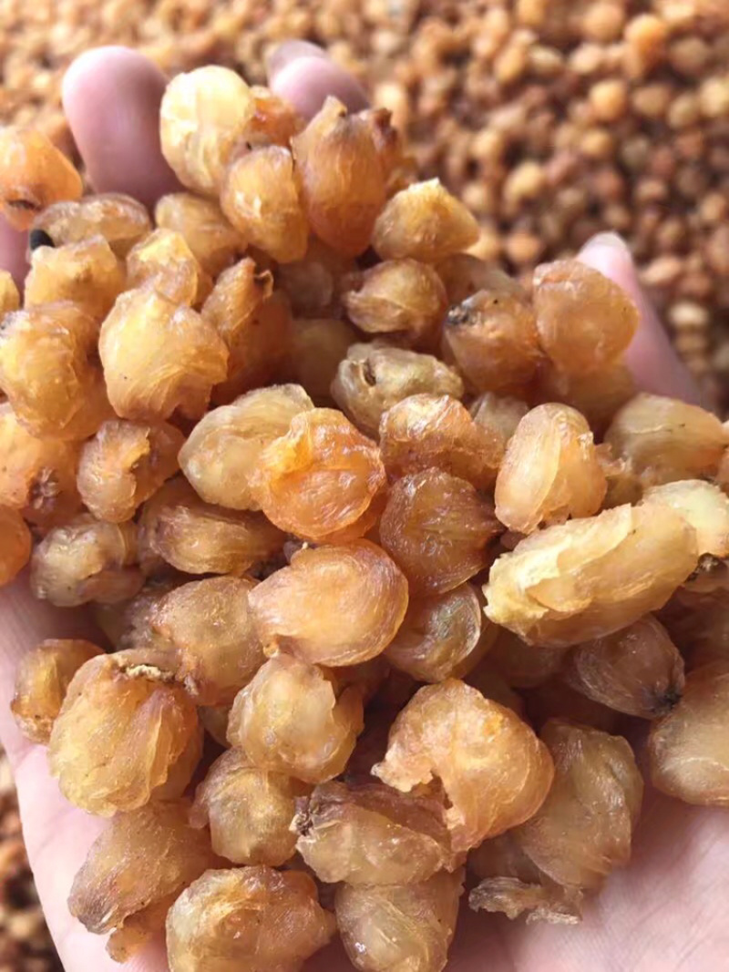 桂圆肉，泰国，石硖长期供应，纯手工制作，