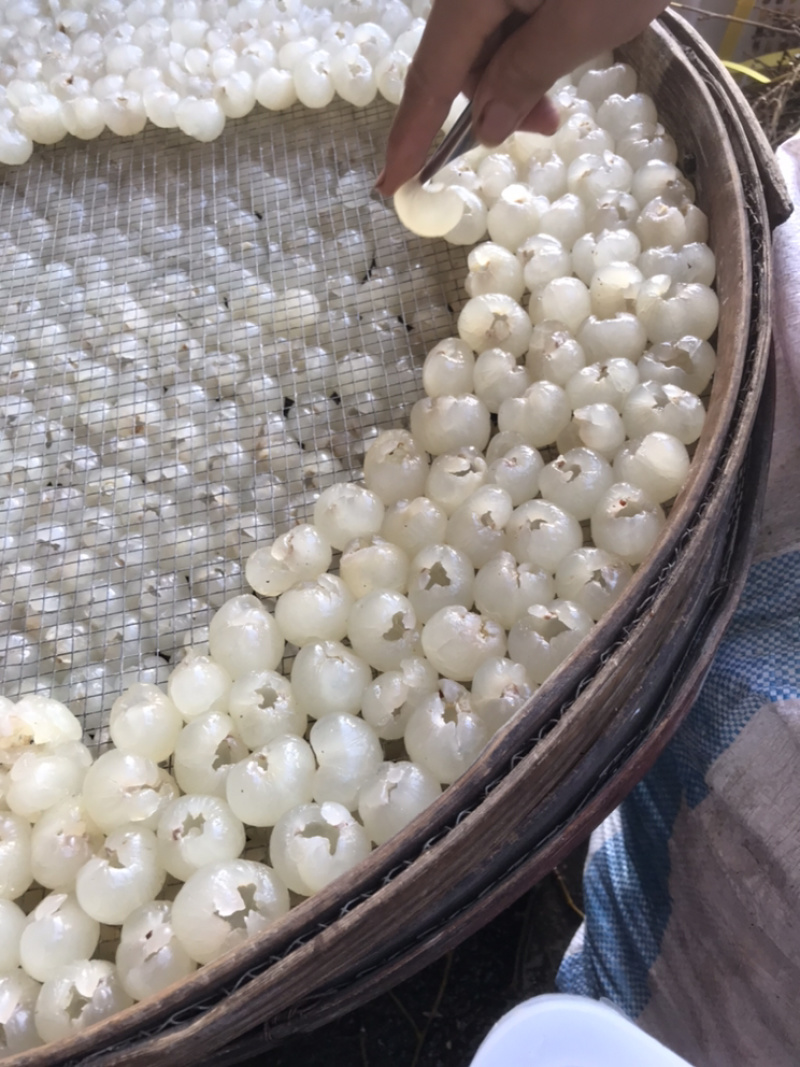 桂圆肉，泰国，石硖长期供应，纯手工制作，
