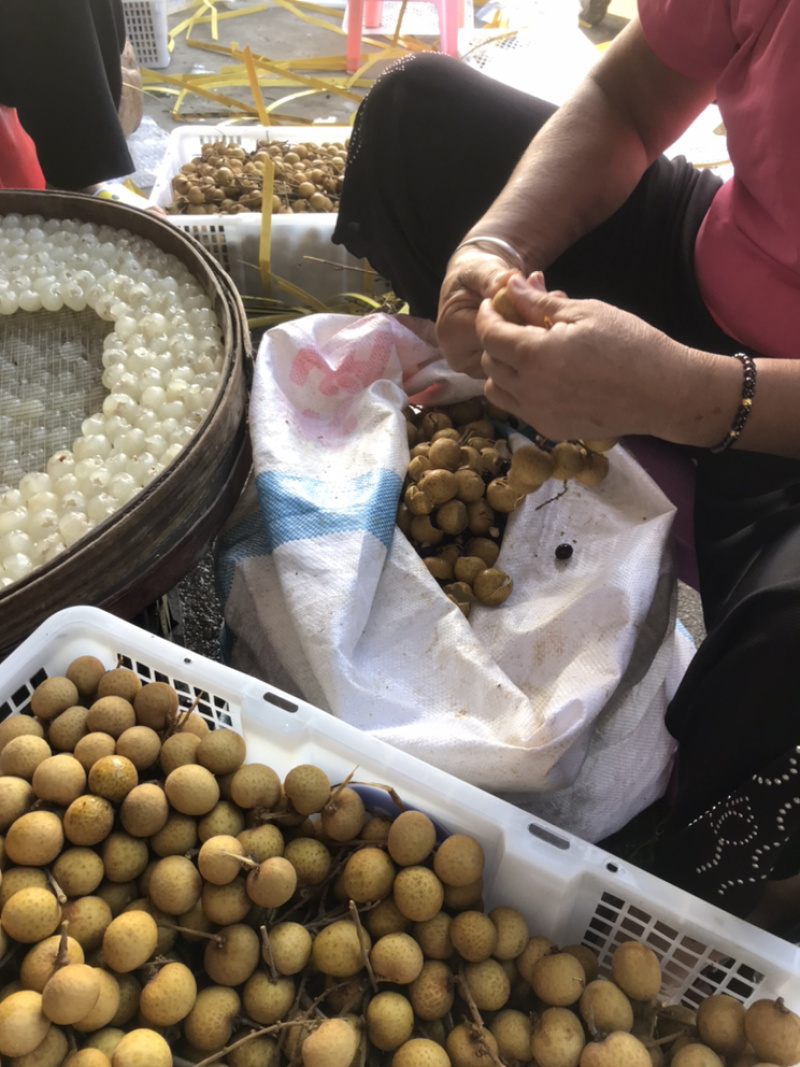 桂圆肉，泰国，石硖长期供应，纯手工制作，