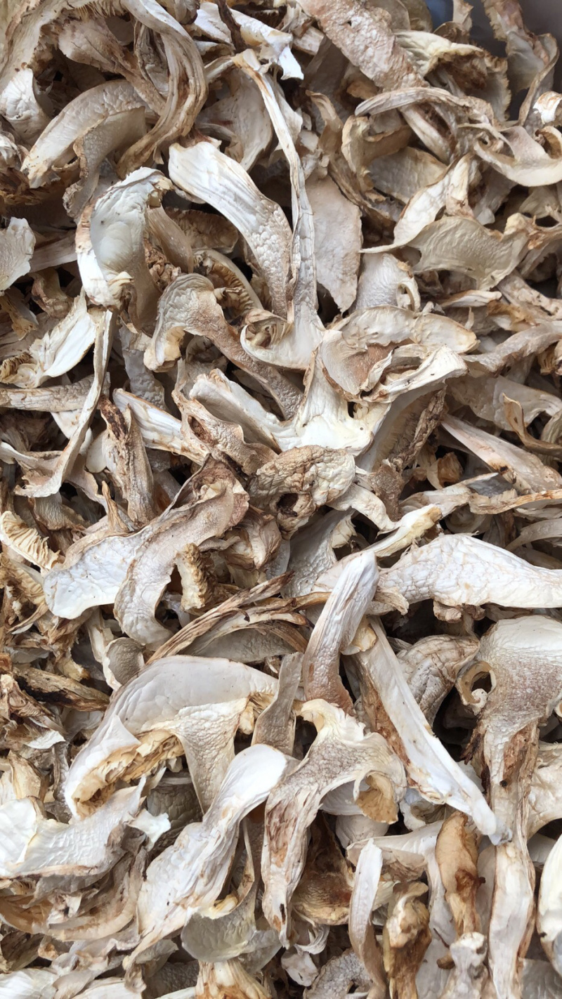 松茸干片，野生松茸菌，云南野生食用菌批发