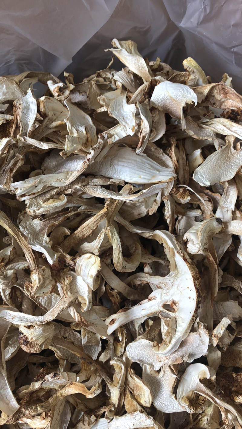 松茸干片，野生松茸菌，云南野生食用菌批发