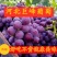 【河北】巨峰葡萄，大量上市，产地直供欢迎咨询