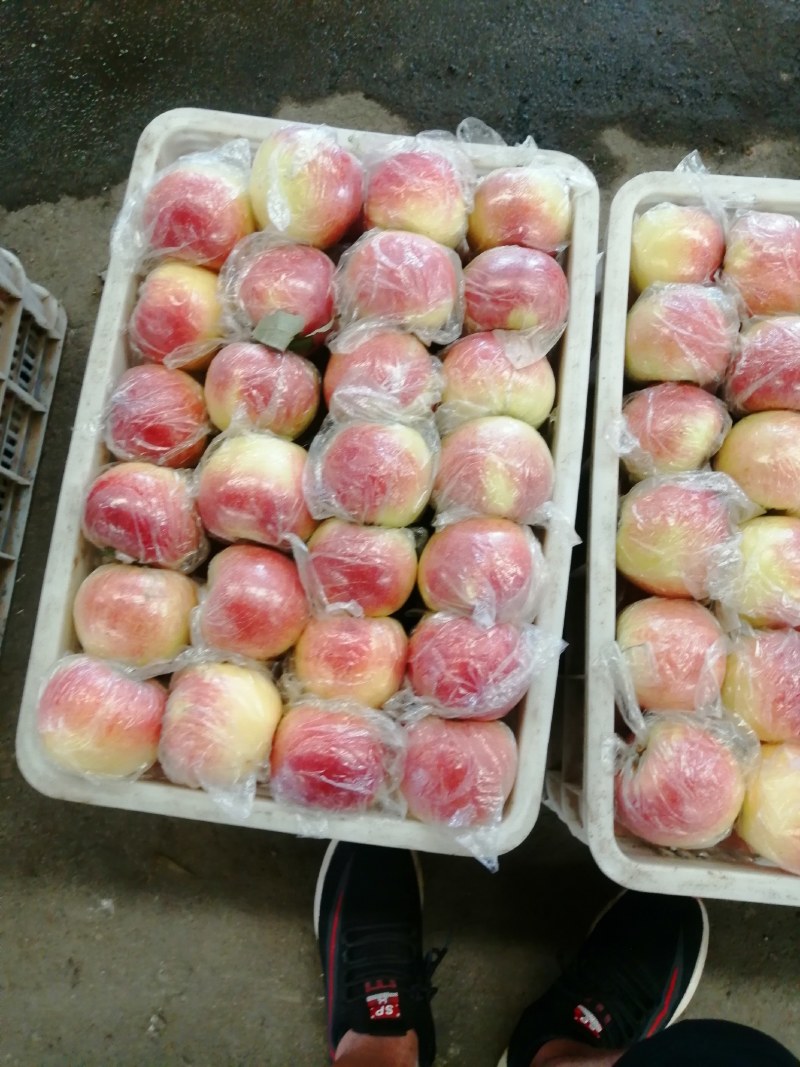 甜口，果型美观美八大苹果