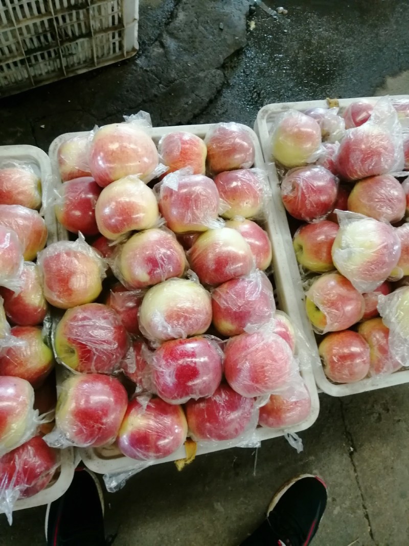 甜口，果型美观美八大苹果