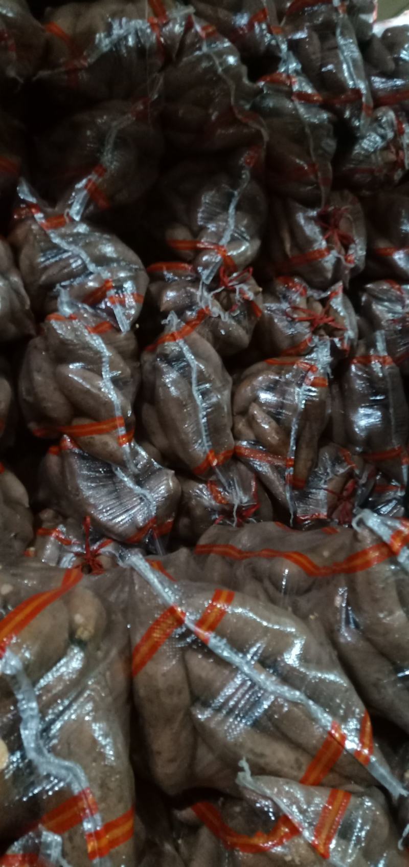 河北龙薯九，椭圆块，长条块，袋装，散装，诚信代发！