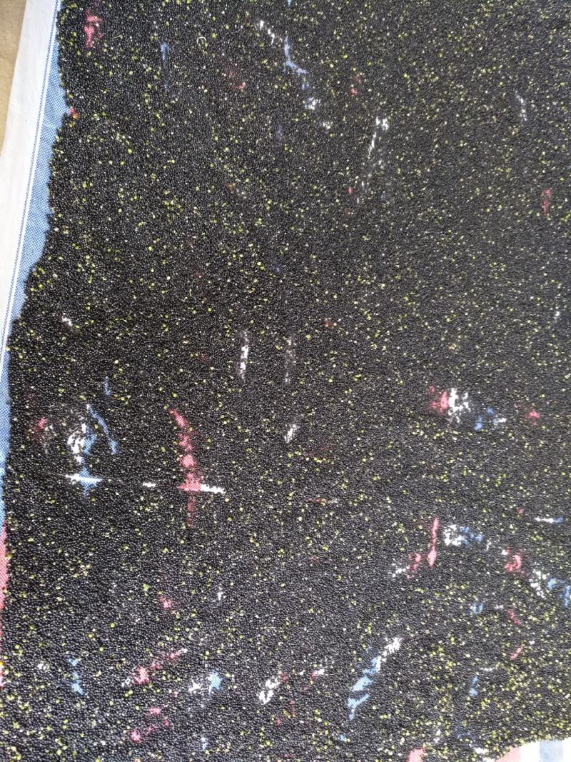 产地供应优质高产天冬种子