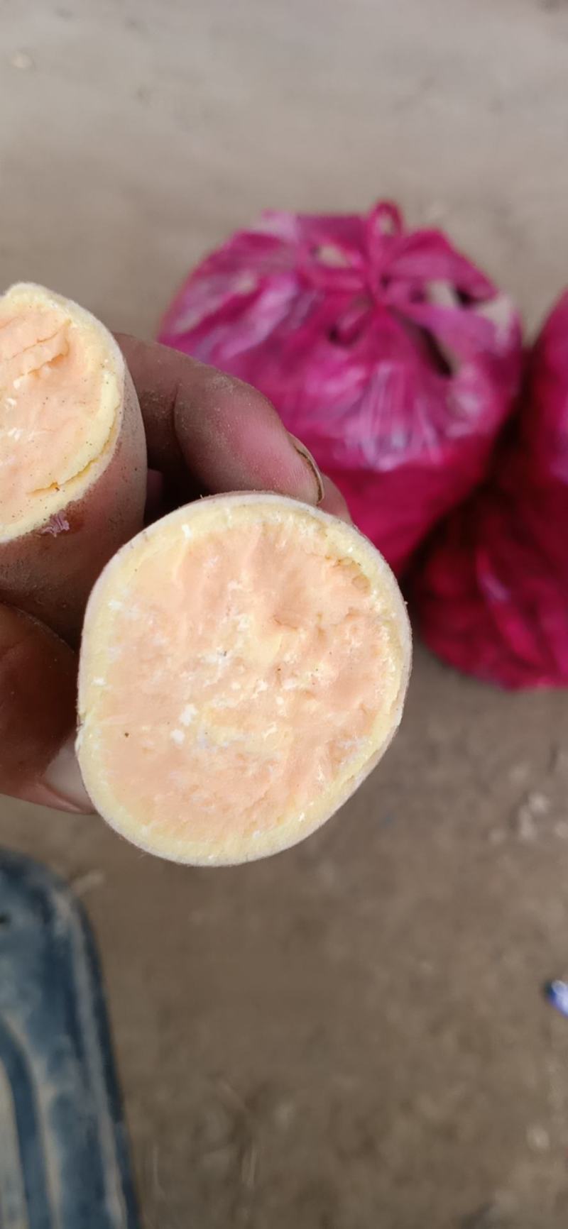 龙九红薯沙地货皮毛光滑无虫眼个头均匀市场走货快拼车都可以