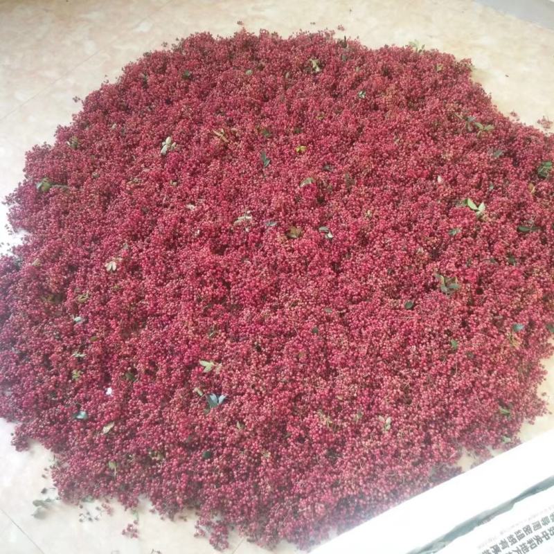 四川汉源干花椒特级贡椒产地直销一手货源可视频看货