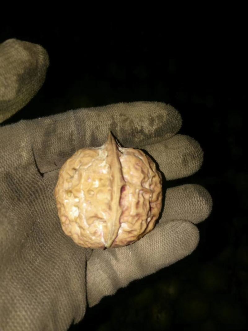 生核桃包核桃米云南核桃新疆核桃
