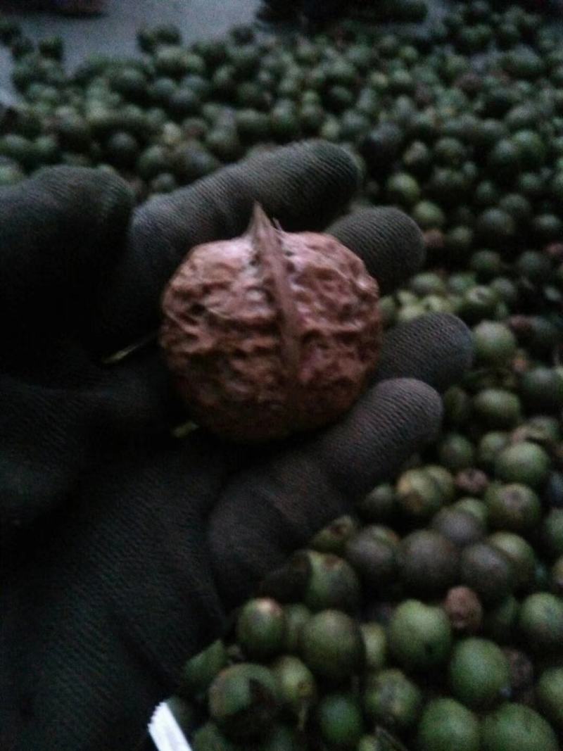 生核桃包核桃米云南核桃新疆核桃