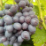 正宗玫瑰香葡萄🍇品质好香甜可口又香又甜