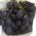 正宗玫瑰香葡萄🍇品质好香甜可口又香又甜