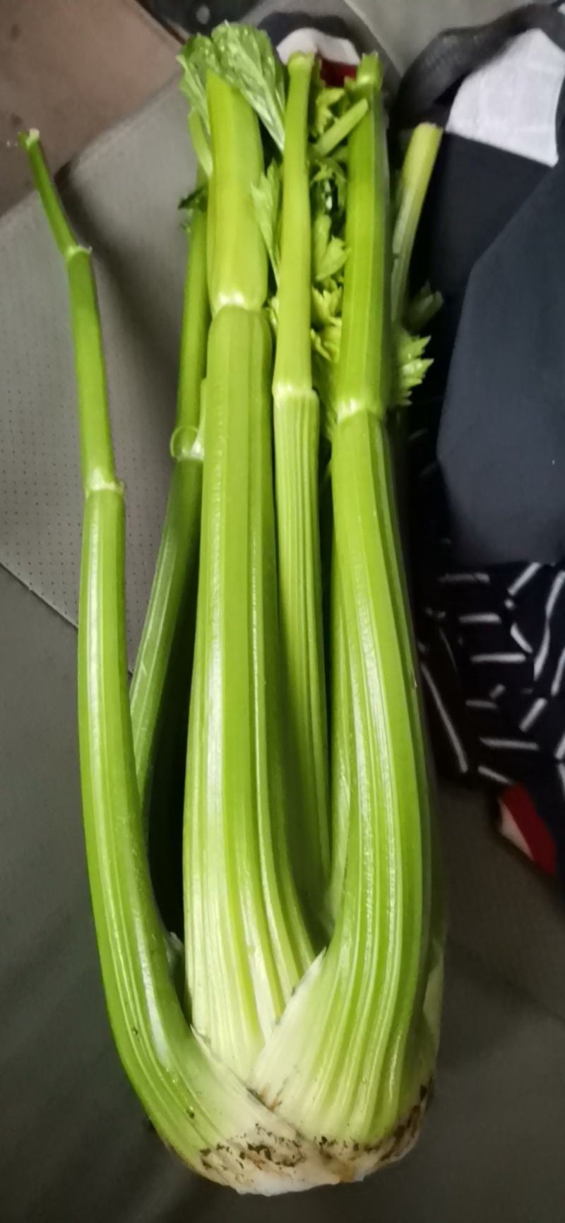 西芹大量上市三斤左右颜.值高