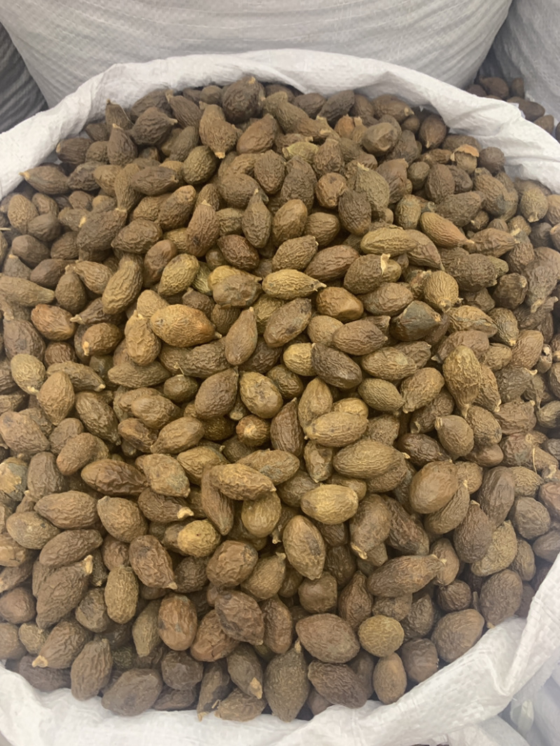 胖大海大海无硫磺熏蒸全部可以冲泡开花500克起
