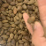 胖大海大海无硫磺熏蒸全部可以冲泡开花500克起