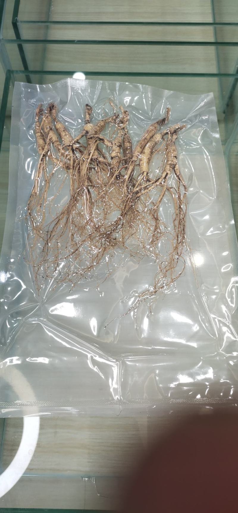 长白山林下参10年龄10枝起包邮产地批发源头好货量大从优