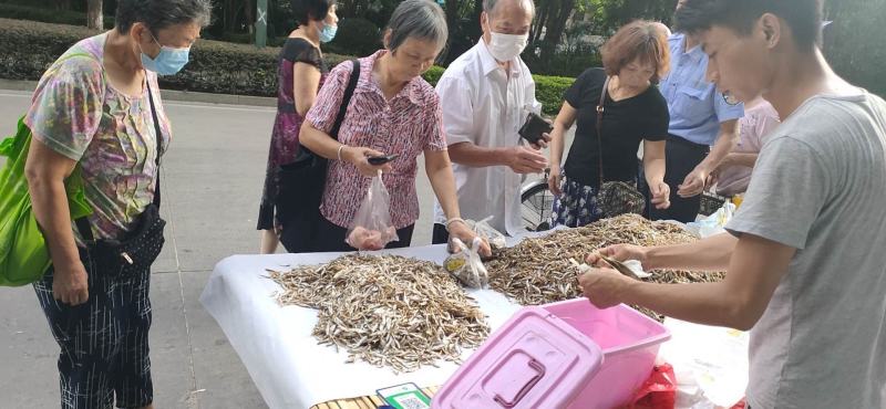 鱼干系列油炸鱼干小河鱼干开肚/不开肚小白条餐条小鱼干