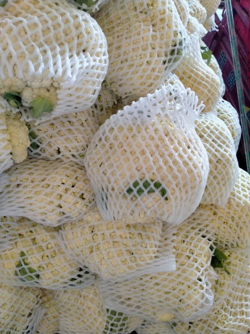 精品散花，大量现货，，，