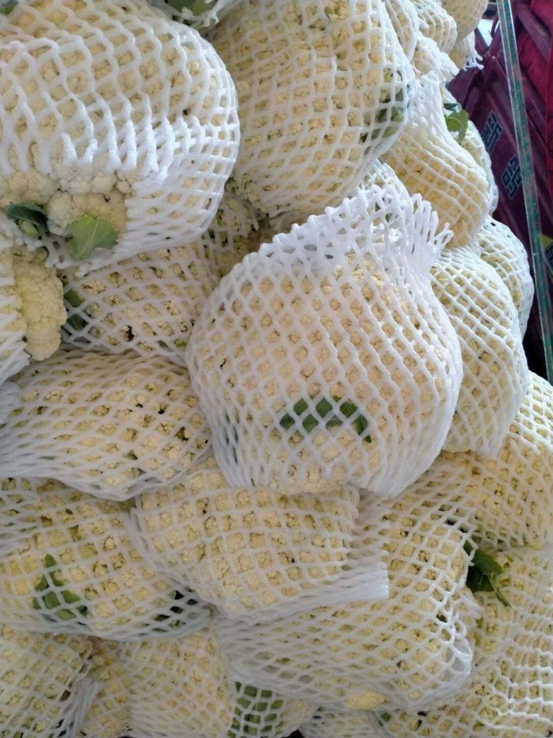 精品散花，大量现货，，，