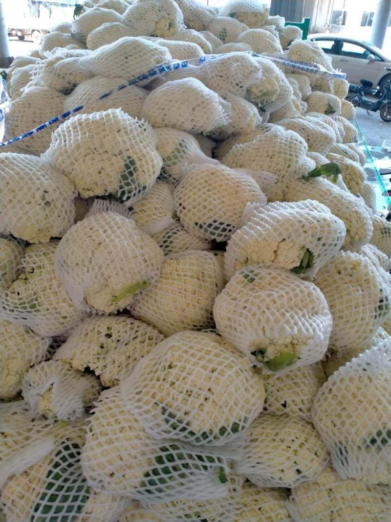 精品散花，大量现货，，，