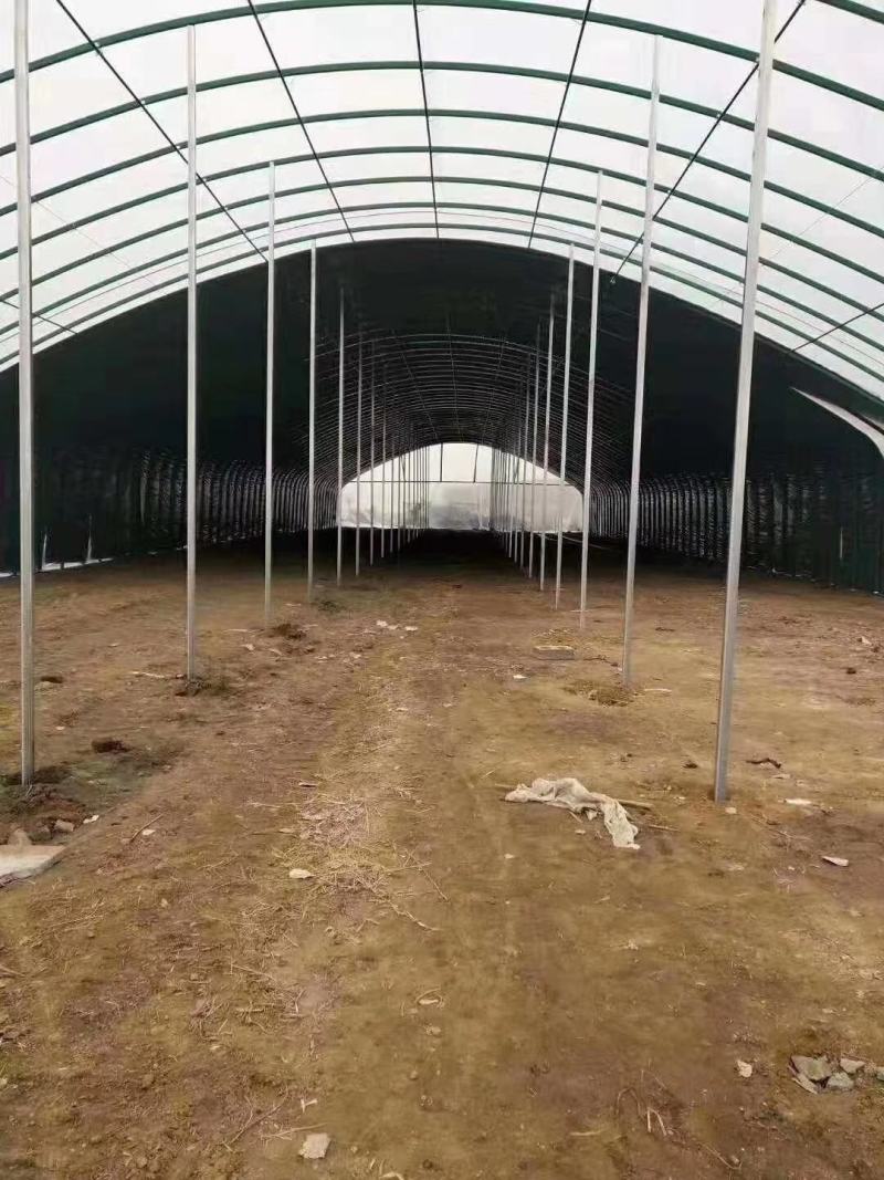 天津大棚骨架热镀锌管生产厂家直销品质保证