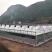 天津大棚温控机大棚温控设施厂家直销质量保证
