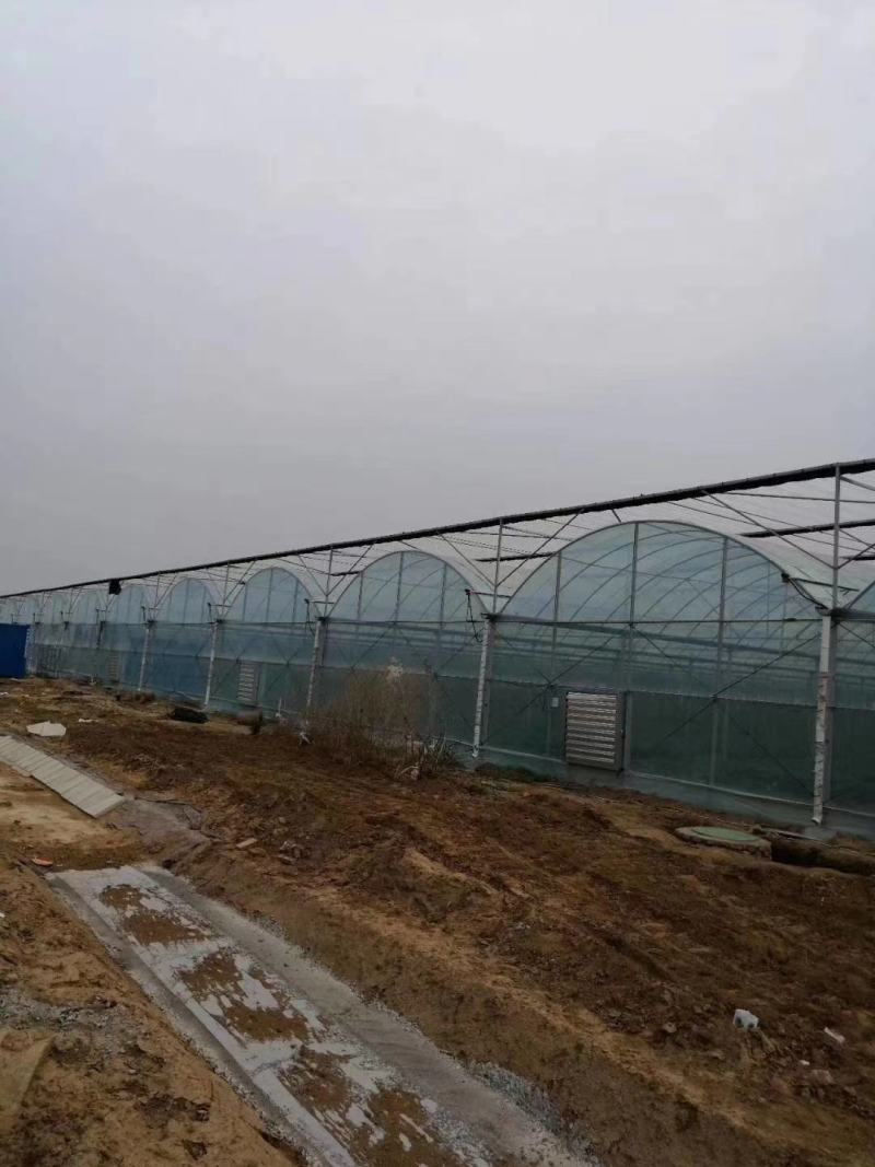 天津大棚温控机大棚温控设施厂家直销质量保证