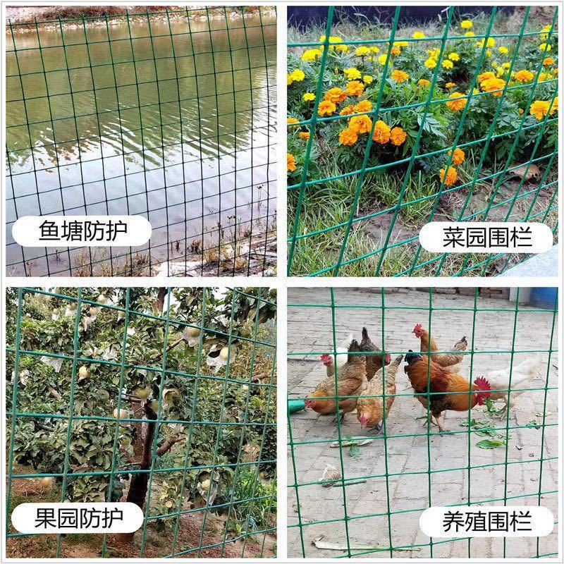 30米一卷铁丝网围栏养殖网养鸡网栅栏护栏防护网荷兰网包邮