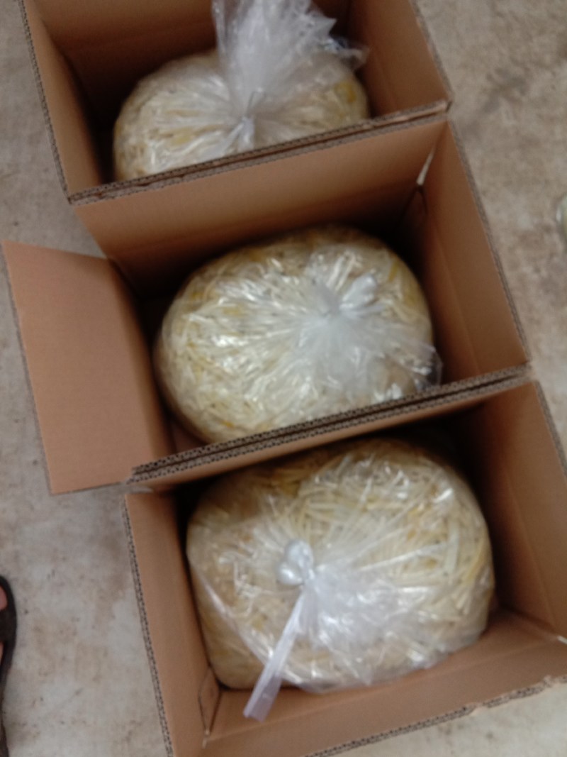 【螺蛳粉桂林米粉专用酸笋酒店饭店配菜酸笋！2023年新货