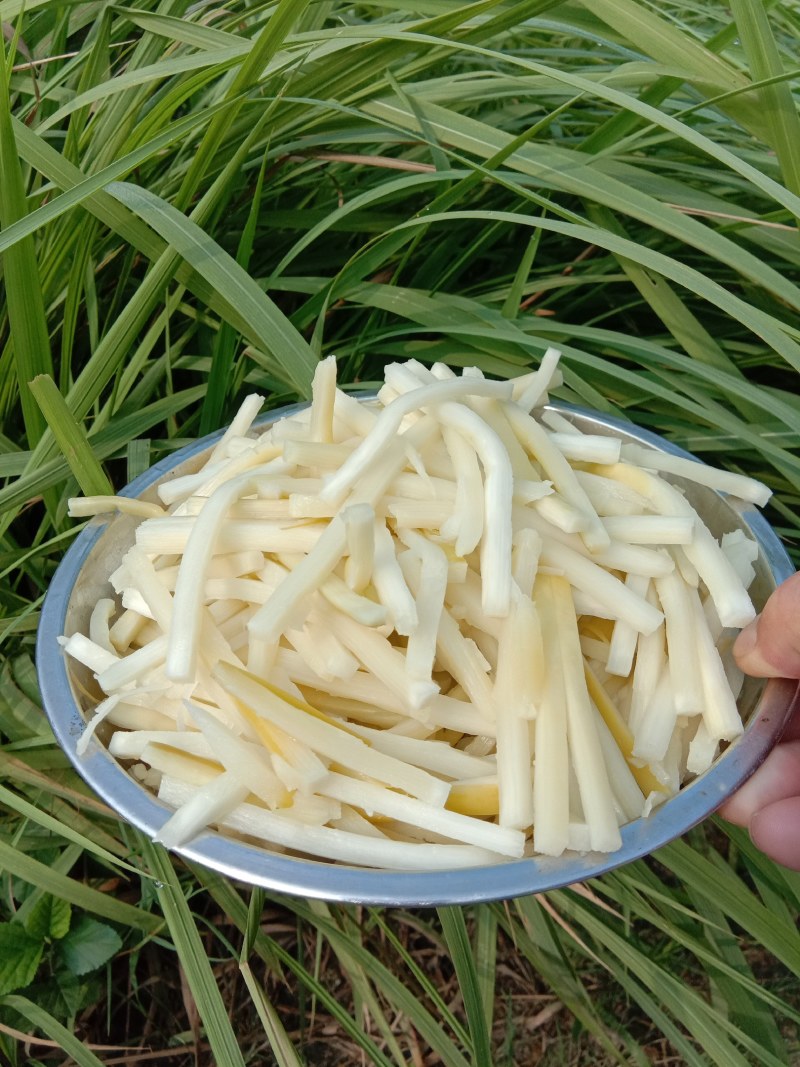【螺蛳粉桂林米粉专用酸笋酒店饭店配菜酸笋！2023年新货