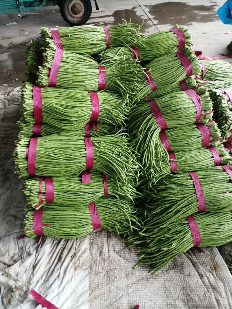 推荐【豆角】河北长豆角邯郸优质豆角大量上市咨询价优