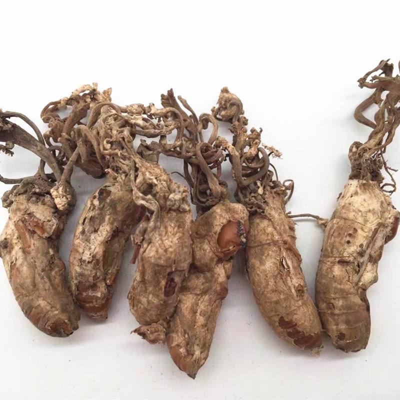 金蝉花，常年批发中药材金蝉花冷背药材量大从优