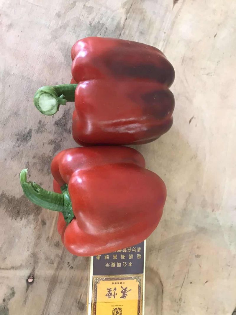 贵州天然生态种植，菜椒