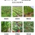 果树施肥器果树果园地下硬地施肥神器铁锹施肥器包邮