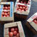 大棚西红柿，1.5毛一斤大量出售