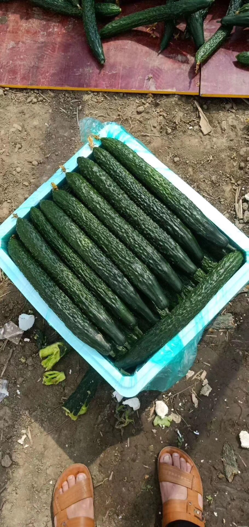 基地直供量大从优