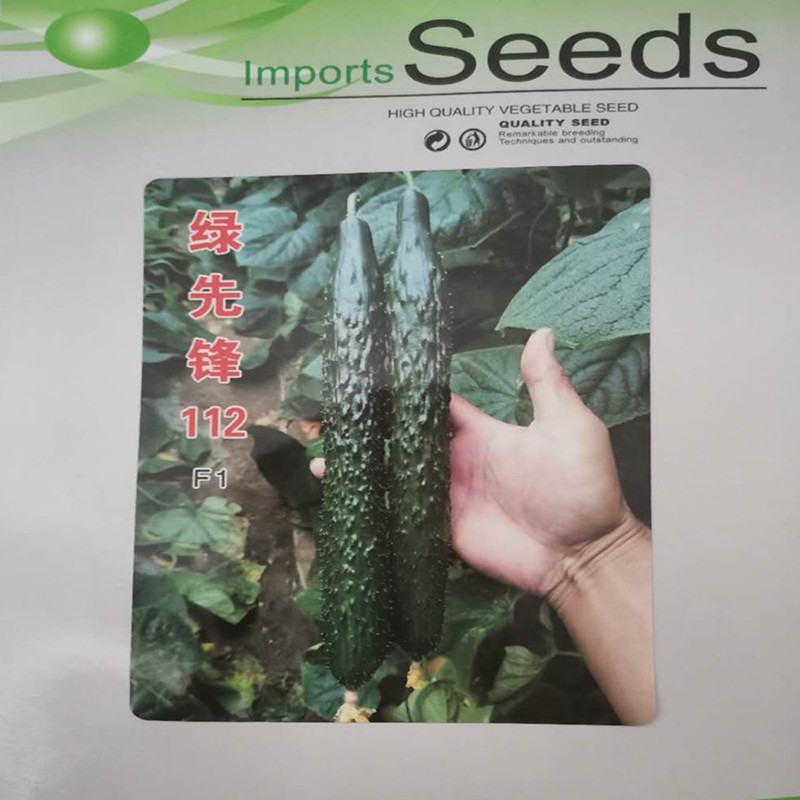 黄瓜种子抗寒油亮绿瓤密刺不嫁接也油亮/1000粒