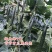 黄瓜种子抗寒油亮绿瓤密刺不嫁接也油亮/1000粒